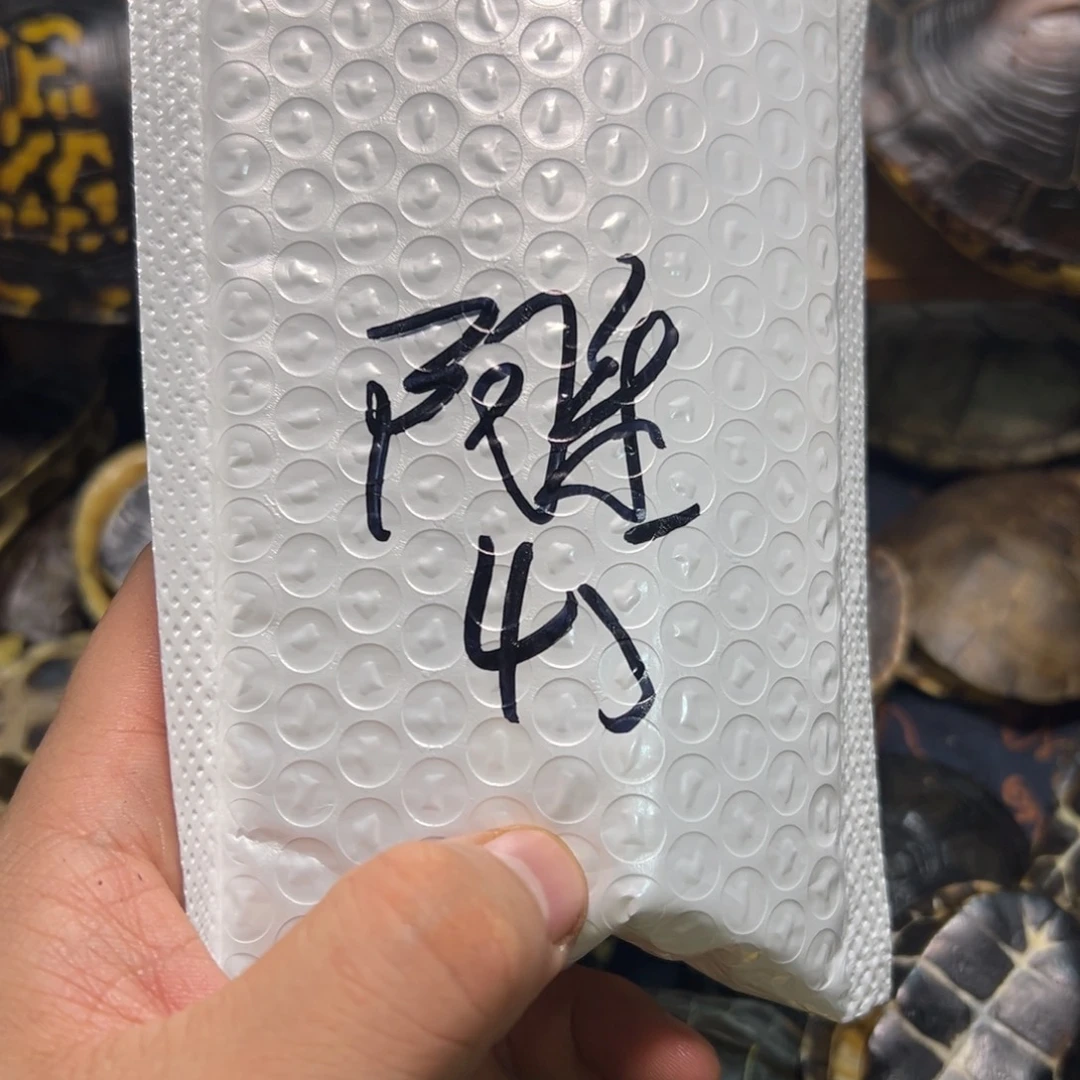 阿***乐呀呀呀呀呀呀呀呀呀呀呀