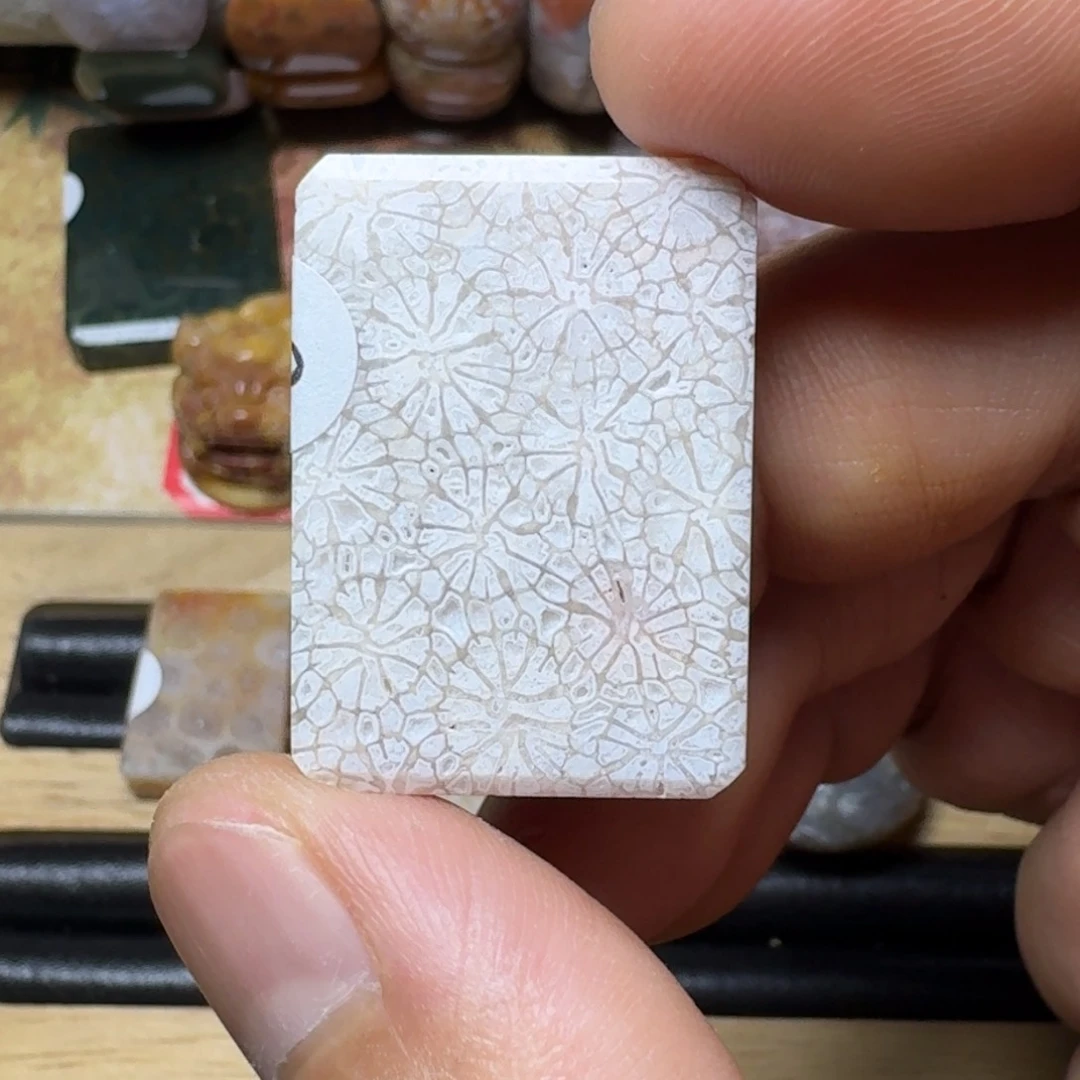 硅化玉天然有机玉石保真色未镶嵌