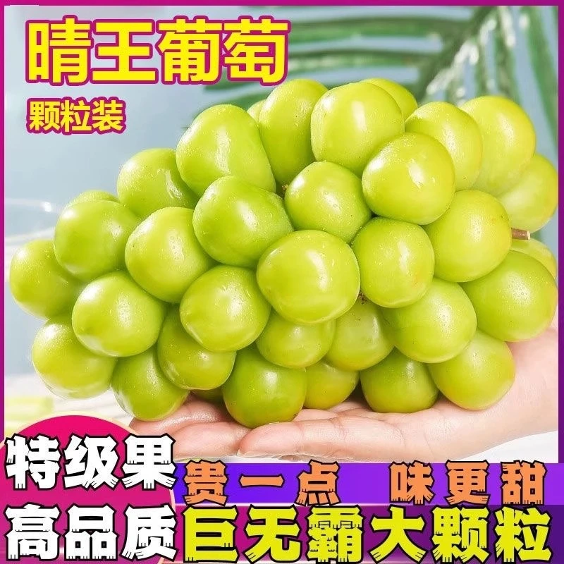 阳光玫瑰葡萄5斤当季水果新鲜整箱包邮晴王香印青提无籽提子云南