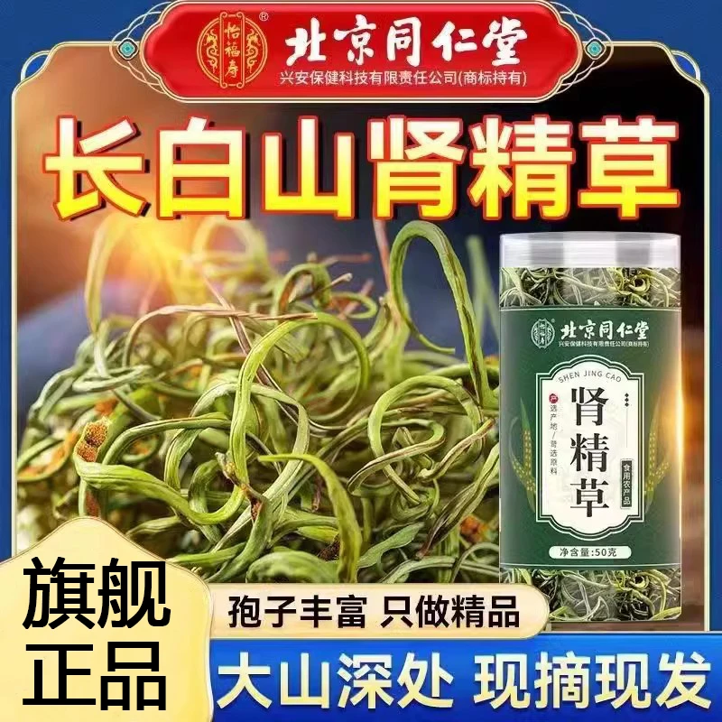 【旗舰正品】北京同仁堂肾精草长白山正宗黄金草化石草东北嗷嗷元族