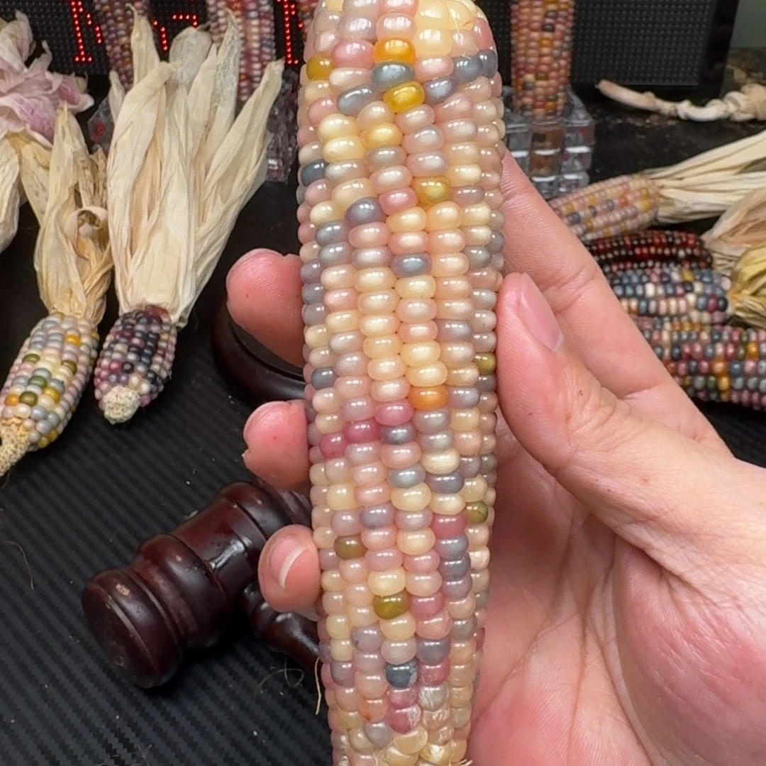 柏香籽/百香籽吊坠就**怪