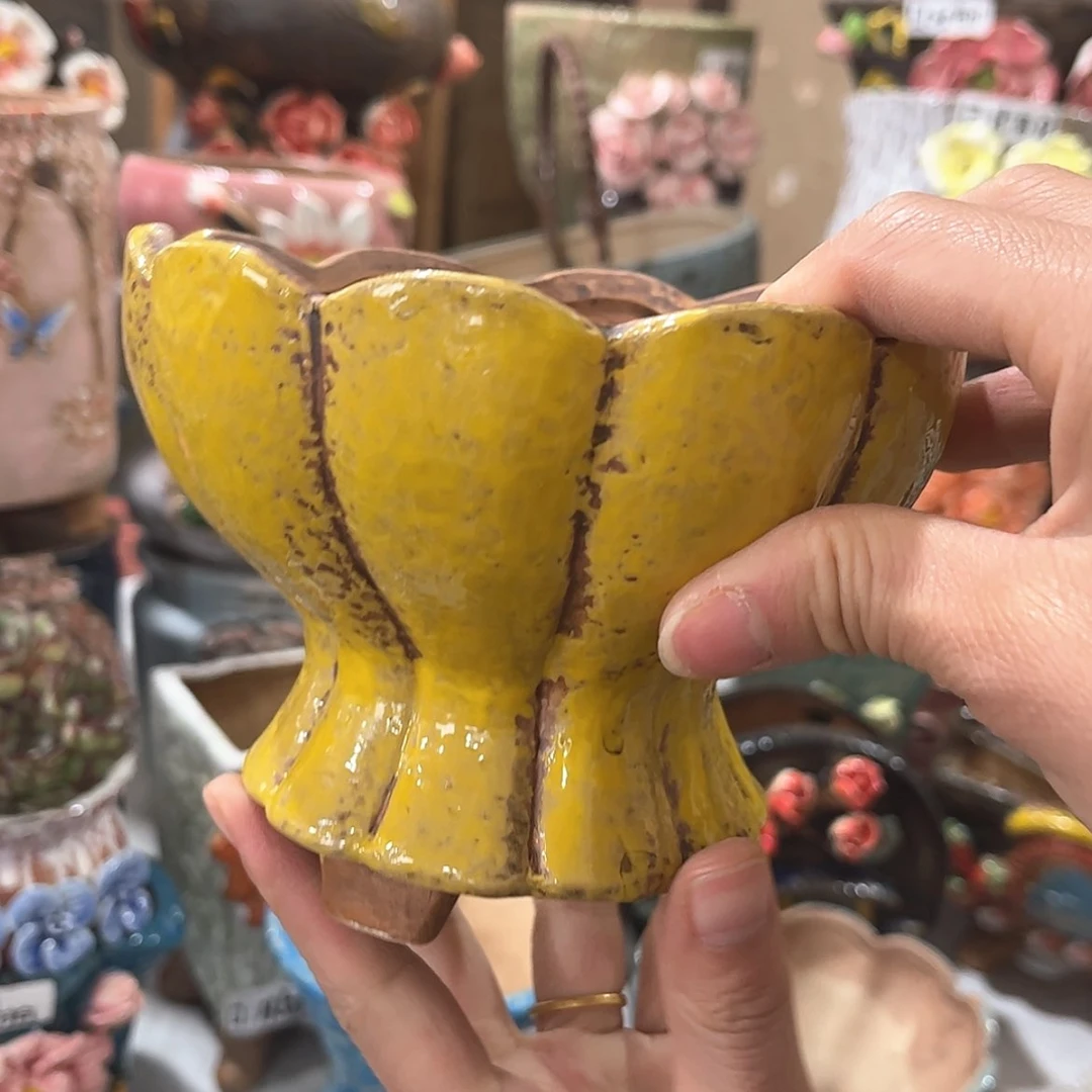 【闪购商品】红陶福利