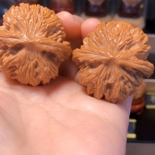 野生精品：黑金刚