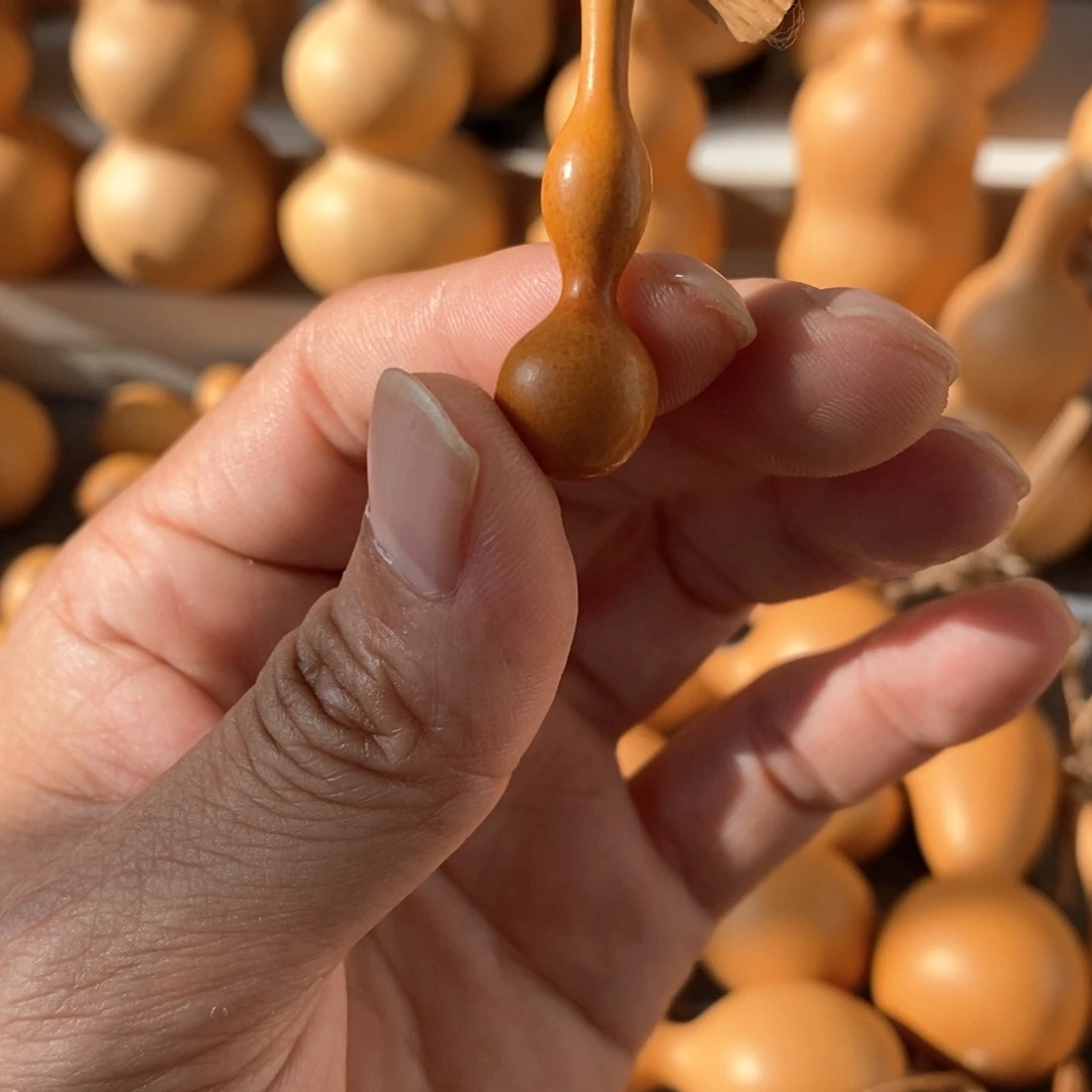 常***911111111111111111