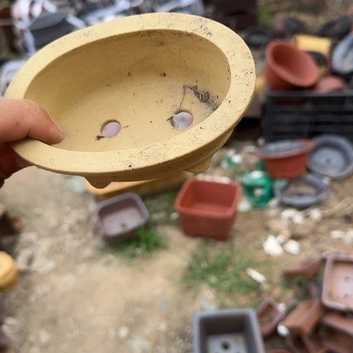 不用急哈就能来拿东西