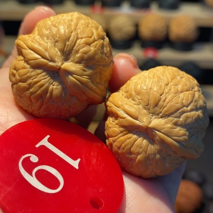 木质类粗筋彩西瓜35尺寸