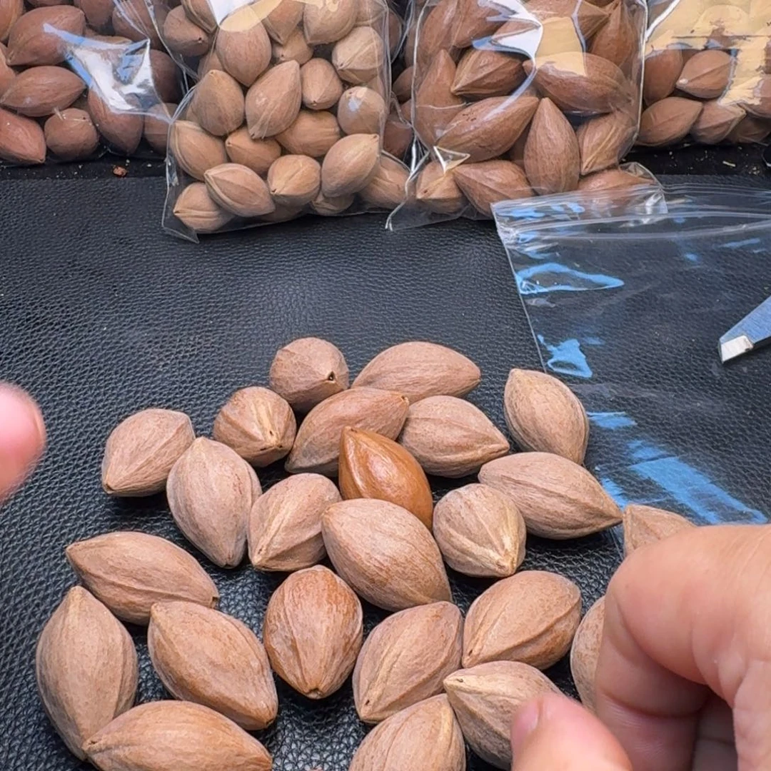 清***月手串/手链橄榄核1