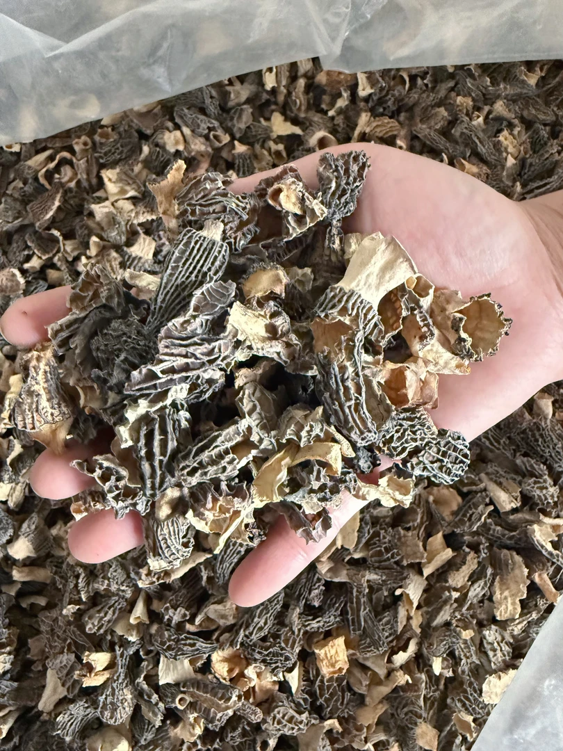 【新货小碎片】馅料蒸菜专属羊肚菌小碎片 比较碎直播间看好再下单