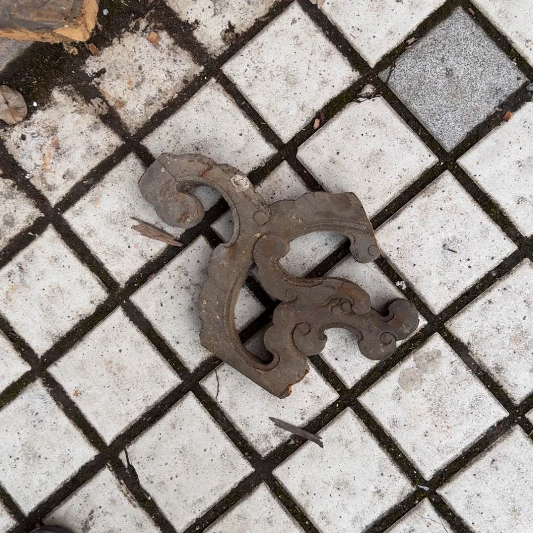 香榧木星*在干嘛，这两