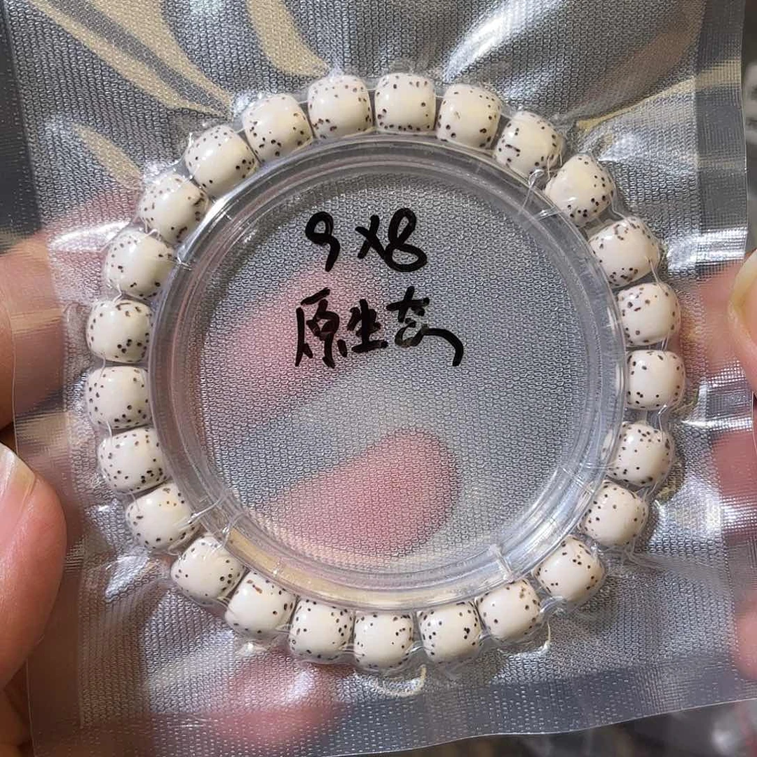 原生态原白河豚，9×8老型
