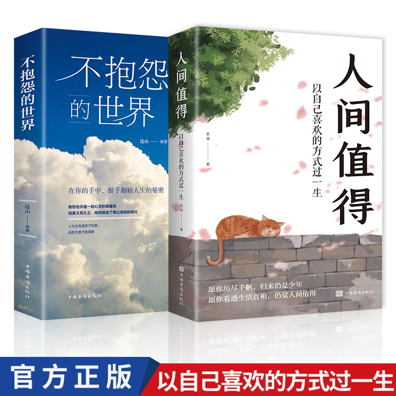 人间值得励志学书籍以自己喜欢的方式过一生人生正能量青春成长书