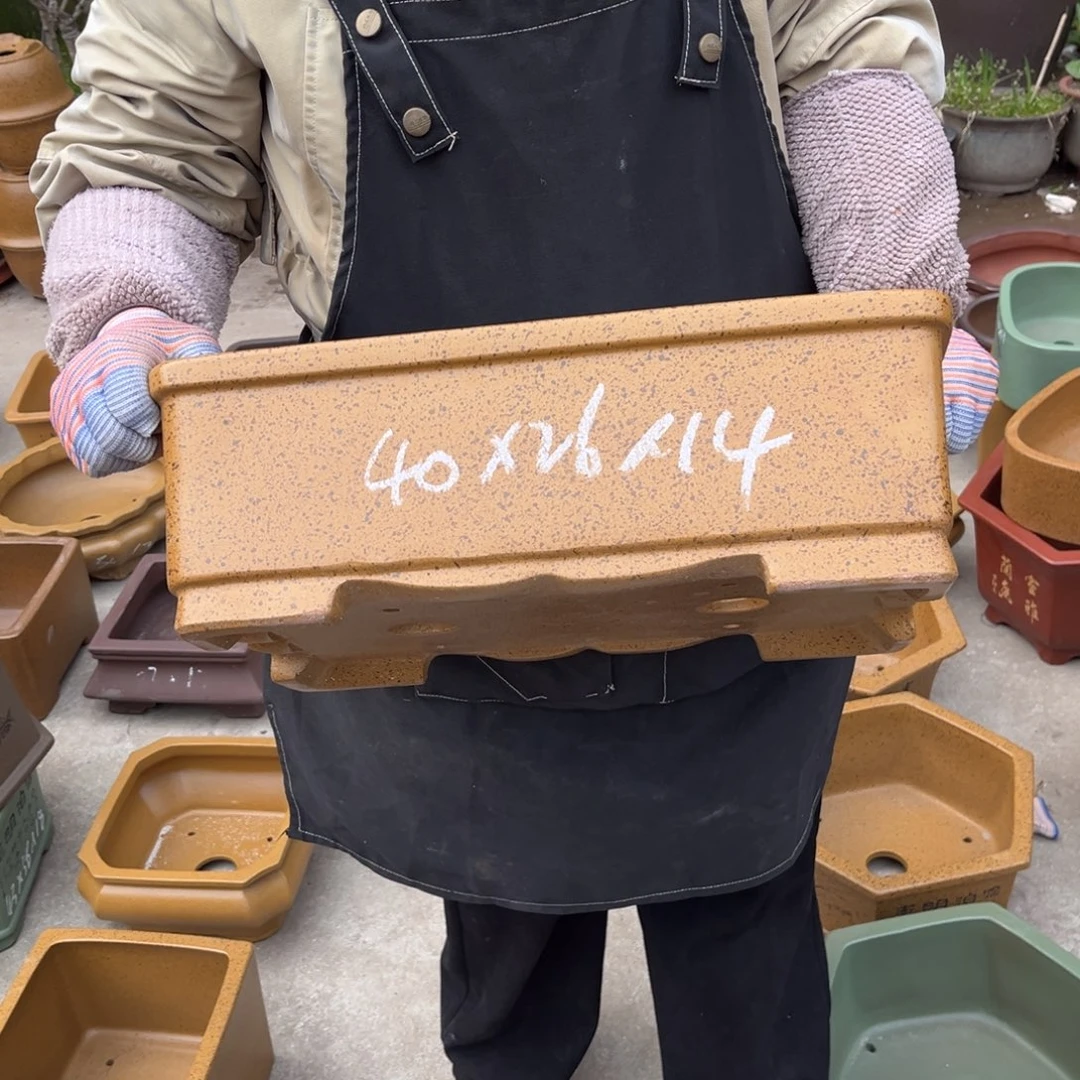 紫砂花盆盆景艺术