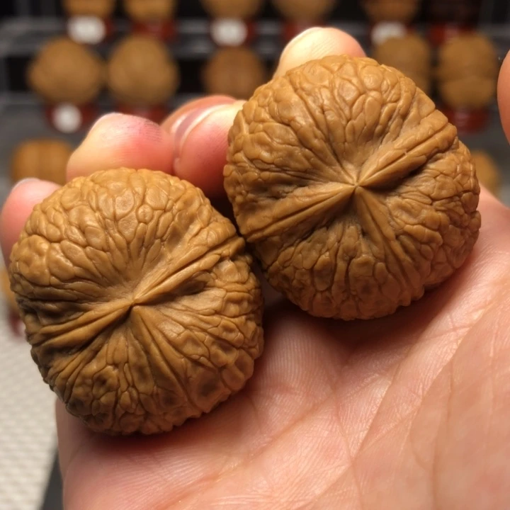 把件文玩核桃36状元红三棱