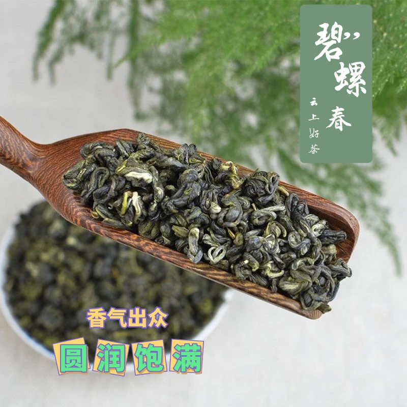 新茶碧螺春茶叶浓香型味浓耐泡高山云雾绿茶