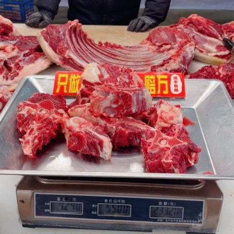 【闪购商品】冷冻保存30天包装河北省