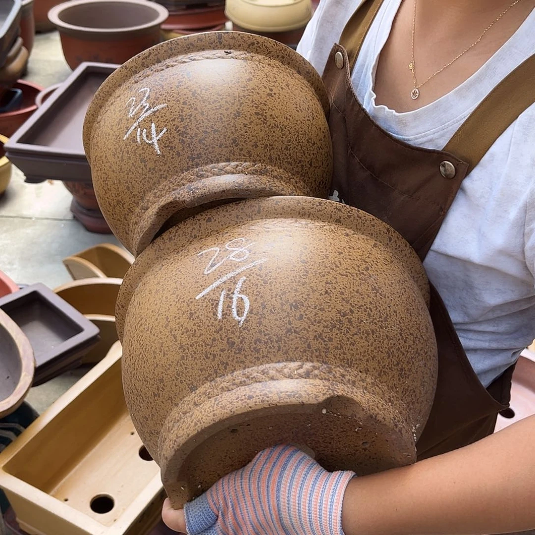 紫砂花盆盆景艺术