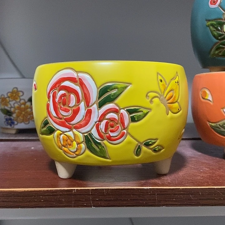 韩式多肉植物花盆