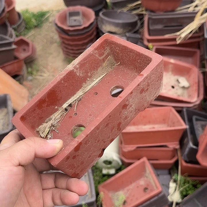 这几句真的好好哭一整集