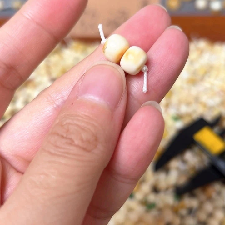 蜜蜡未镶嵌裸石7.9mm一对