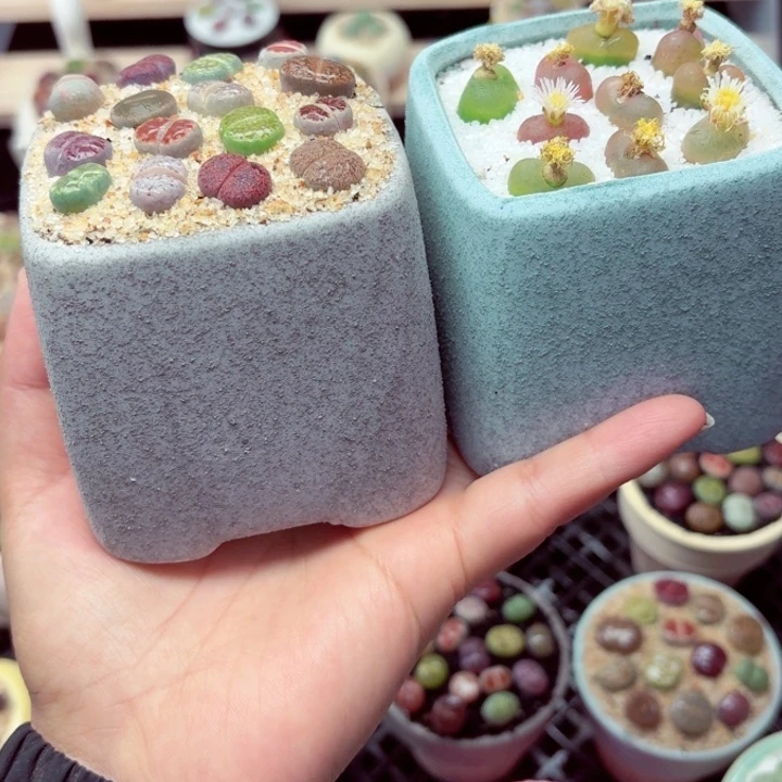 8028零下地区记得拍保温箱