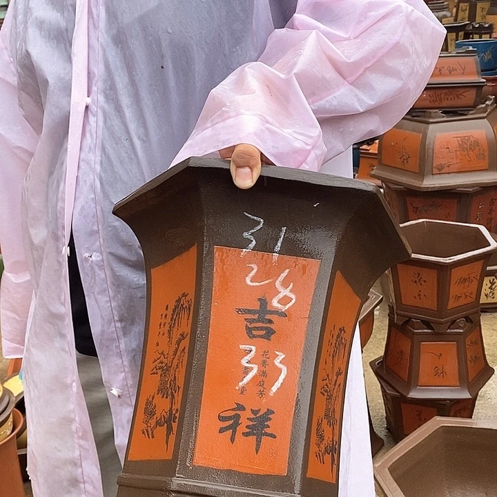 紫砂花盆盆栽观赏植物
