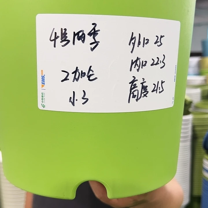 特价4号四季口25高21果绿色8个无托