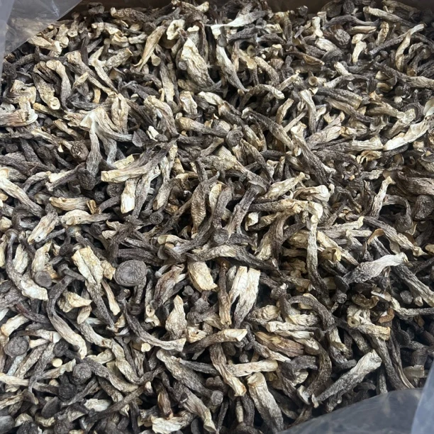 【阿萍】特级鹿茸菇嫩仔