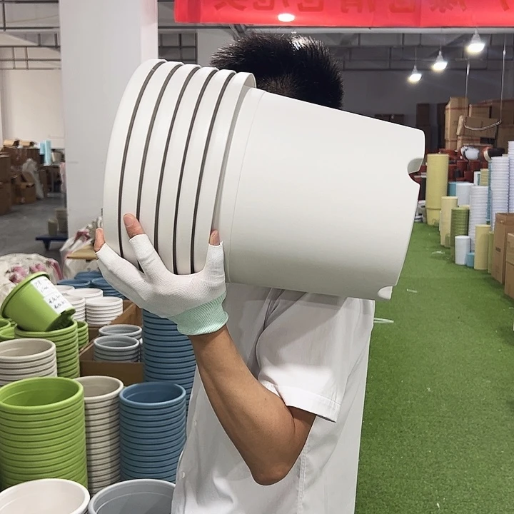 特价5号四季口29高24.5白色无托6个