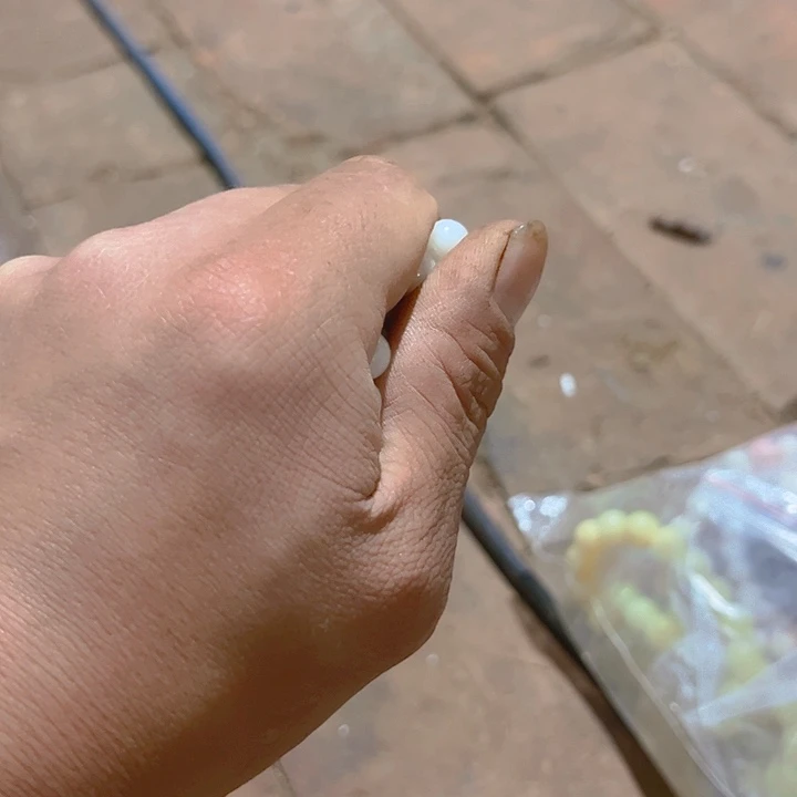 香榧木88888888888888