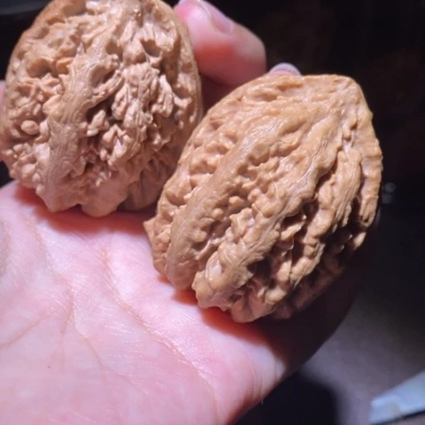 把件文玩核桃东北野生楸子小园 103