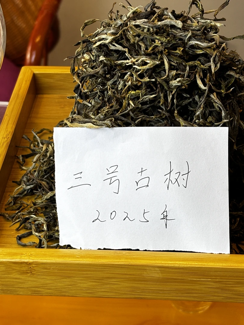 2025年3号地头春革登直蚌黄竹林古树（送同款茶样试喝）高级茶叶