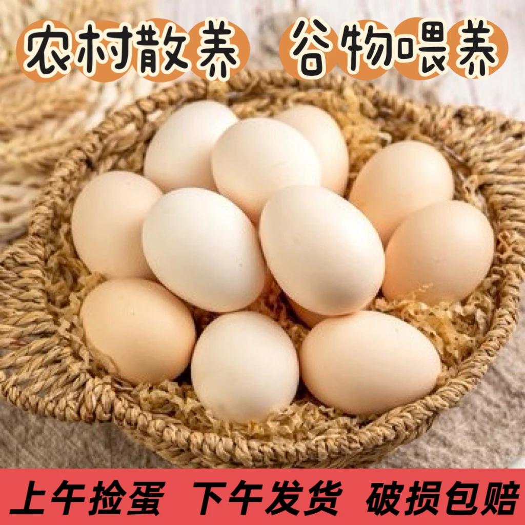 20枚农村入院散养土鸡蛋金色蛋黄新鲜现发健康营养单枚45-50g正宗