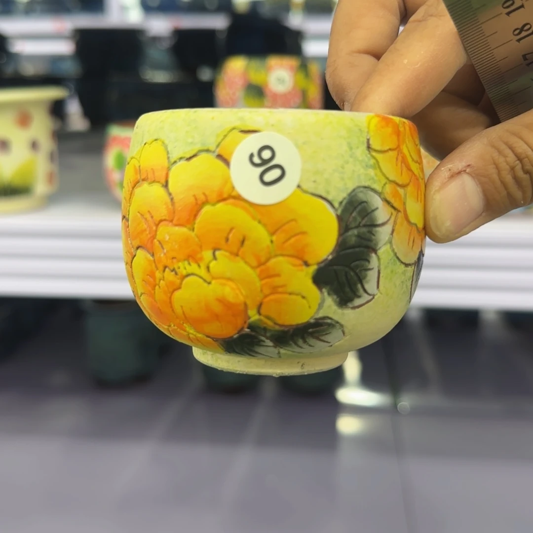 田小姐多肉花盆一个