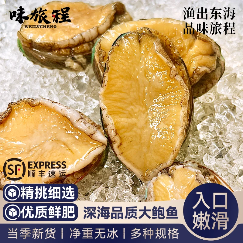 捕捞肉厚活冻特大海鲜水产非即食生鲜贝类超大鲍鱼汁捞饭批发商用