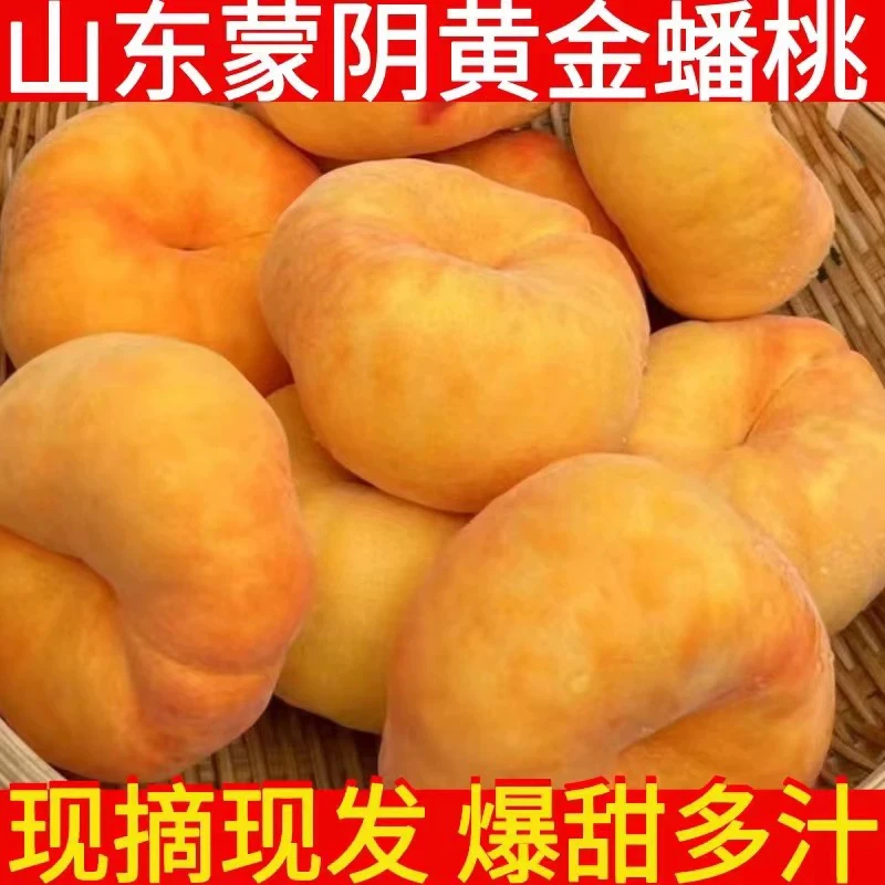 正宗山东蒙阴香甜多汁黄金毛蟠桃新鲜现摘应季水果