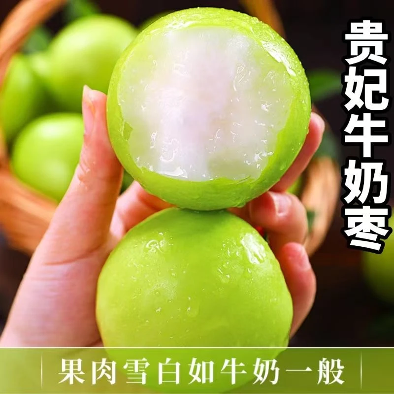 【现摘发货】香脆清甜福建特产青枣脆蜜甜枣水果新鲜采摘1/5斤