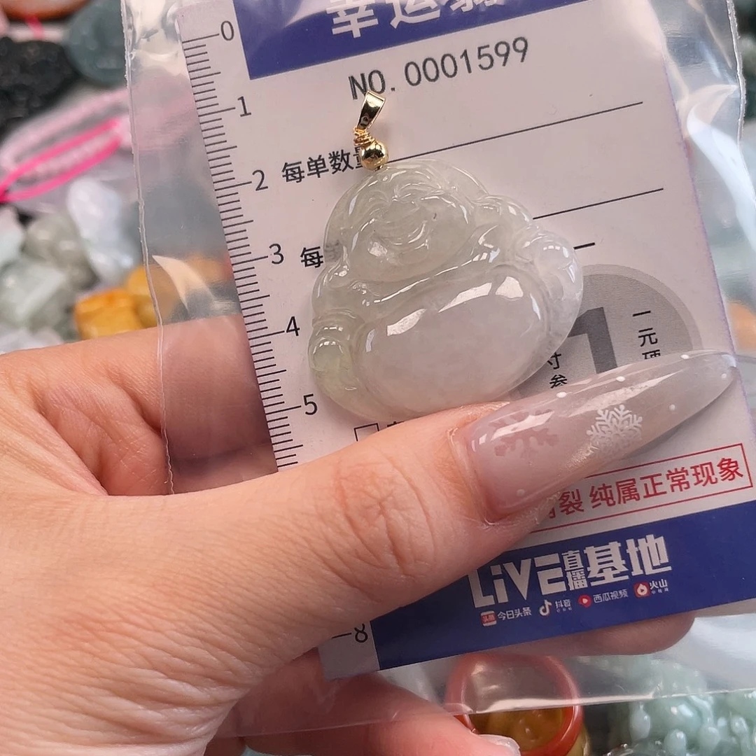 翡翠未镶嵌颈饰hhh