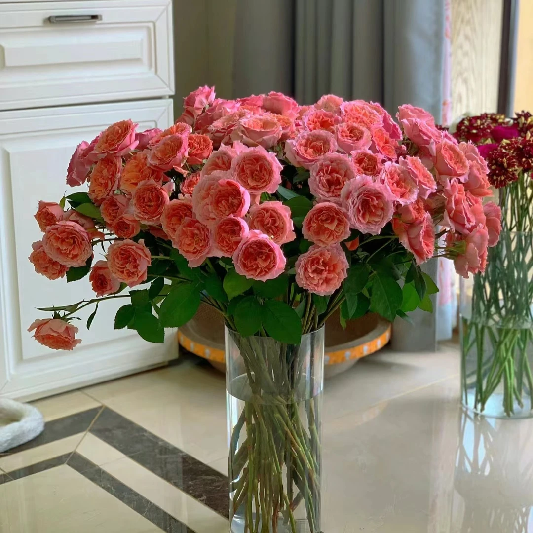 【秒杀特价】【粉色拉拉队泡泡10支 】好养易开 任意满两件发顺丰京东