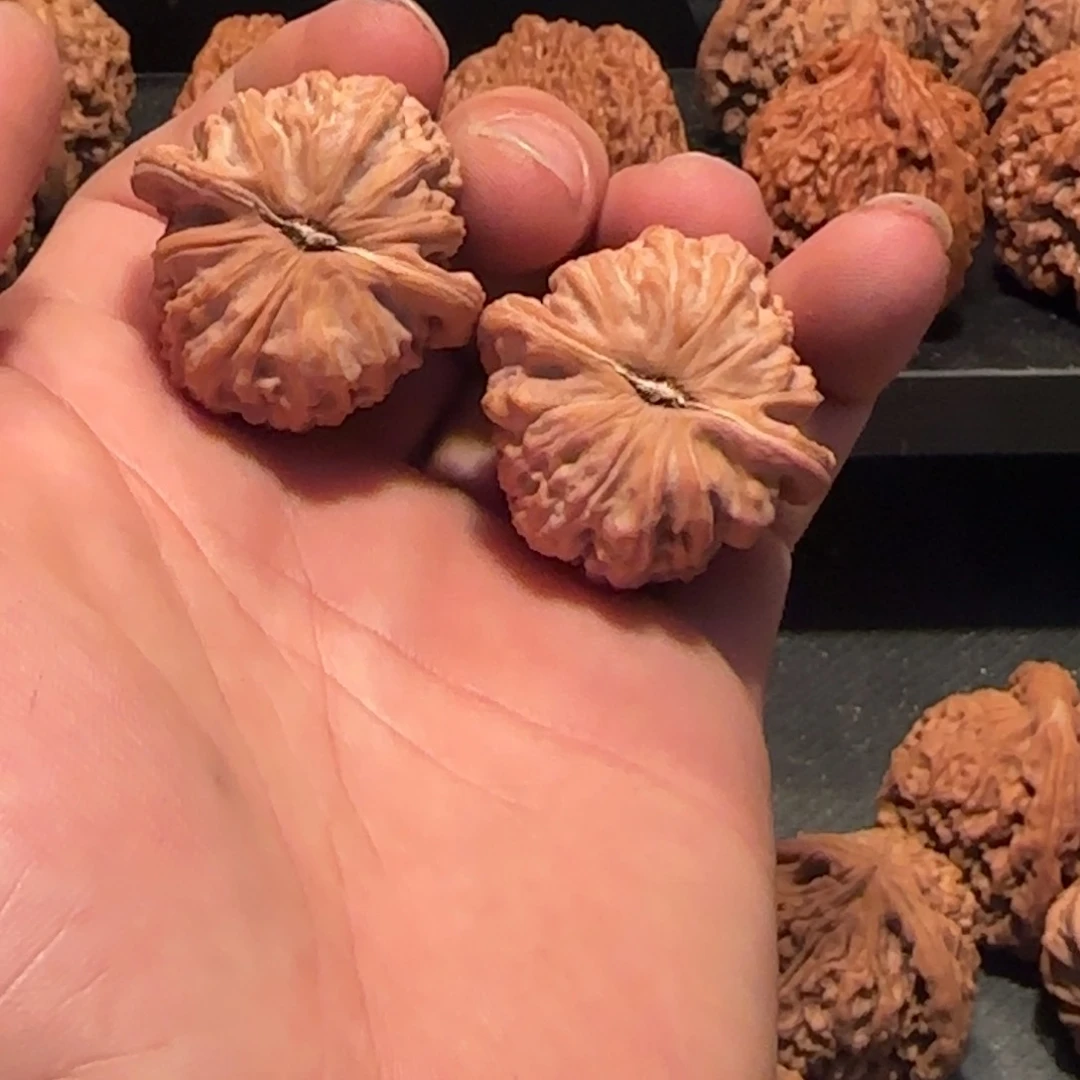 桃核把件尖****长白狮子手捻36