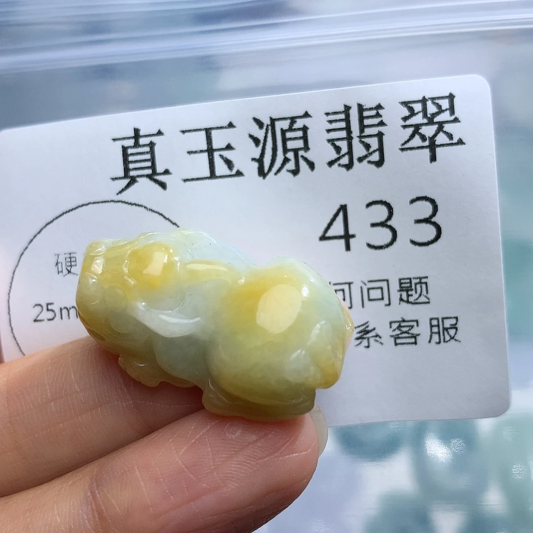 翡翠未镶嵌颈饰433