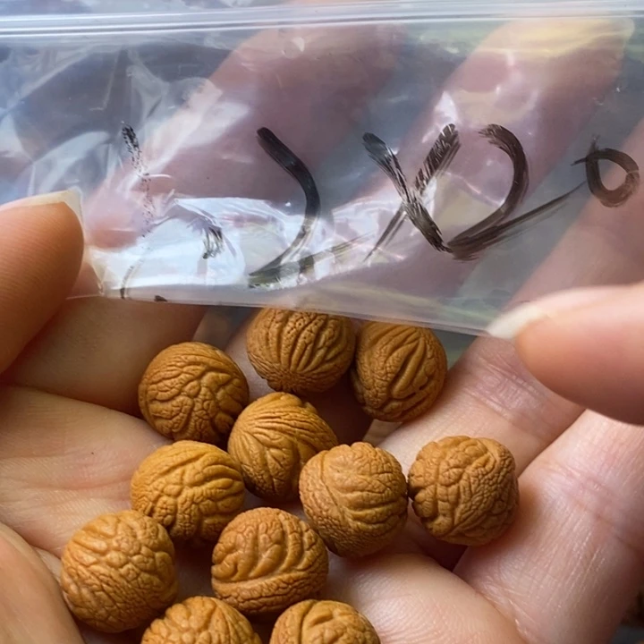 文玩核桃手串秦岭野生龙纹桃核12