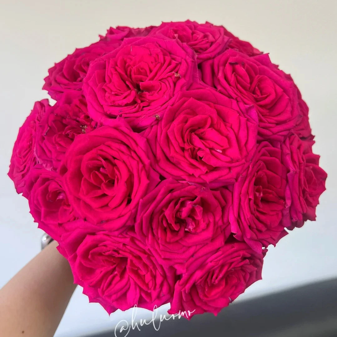 七叶花坊#单头玫瑰 【氛围感】鲜花优选 顺丰直发