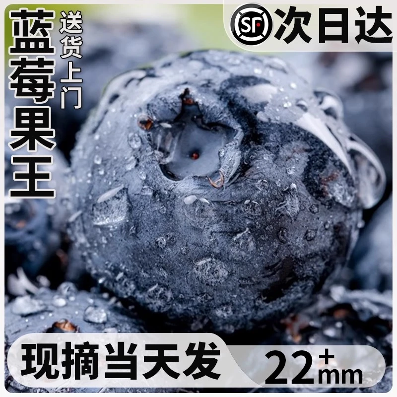 云南花香蓝莓鲜果枝高山当季新鲜水果特大果孕妇宝宝辅食佳怡颗箱