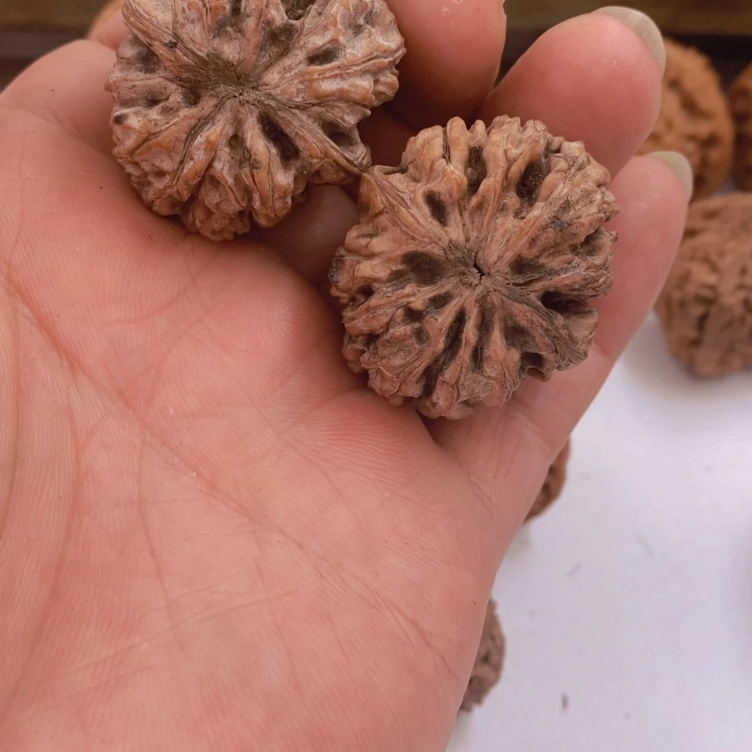 文玩核桃把件蜈*文玩核桃