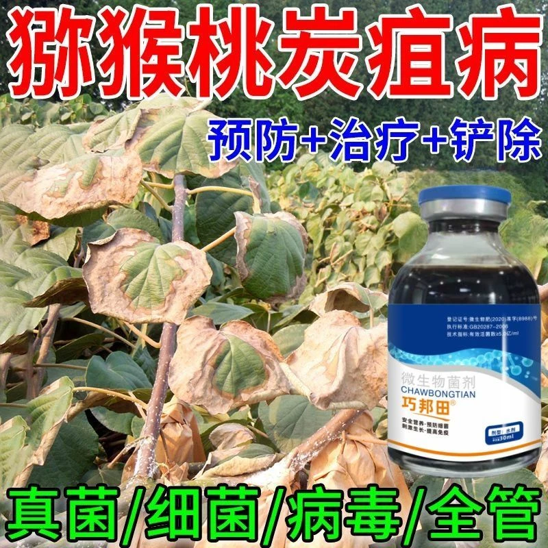 猕猴桃病专用药杀菌剂溃疡病褐斑病叶枯病黄叶病霜污病炭疽病通用