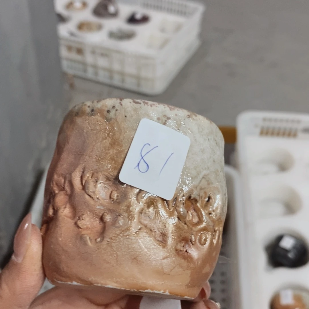 仓播福利活动开始6172