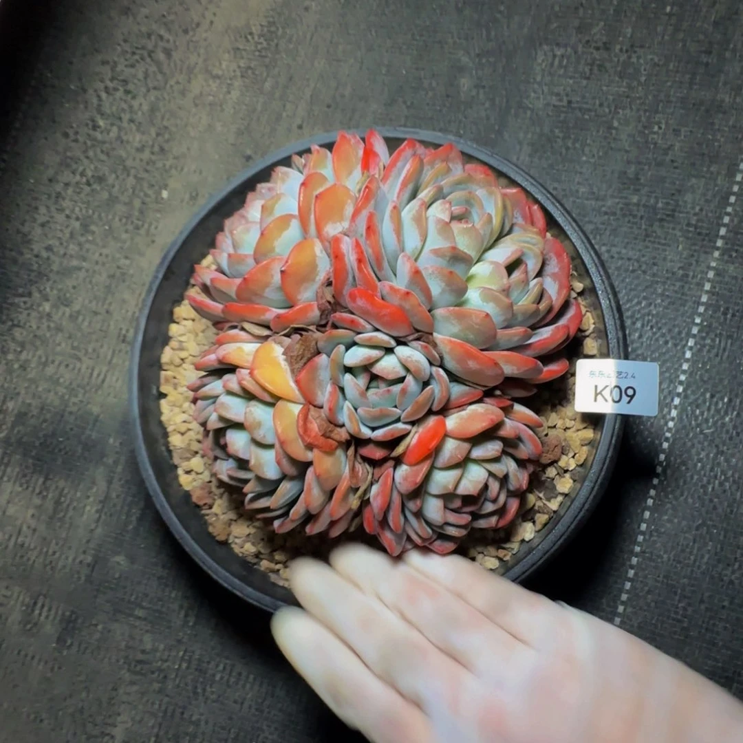 n k k k k k k k k k 9