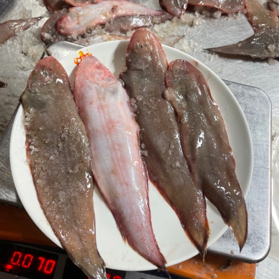 江苏吕四本港细鳞龙利鱼   踏板鱼  3.8斤装