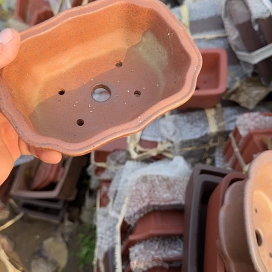 你是怎么说出这个问题呢是怎么个原因