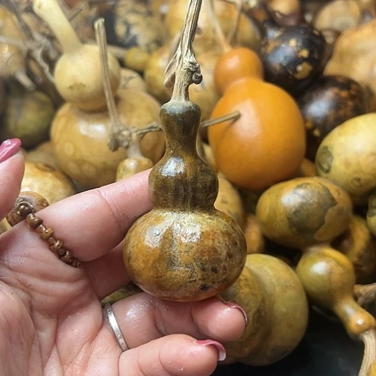 简***装葫芦葫芦葫芦葫芦